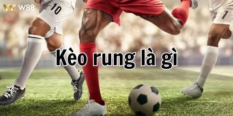 KÈO RUNG LÀ GÌ Trải nghiệm người chơi khi theo dõi kèo rung trên điện thoại